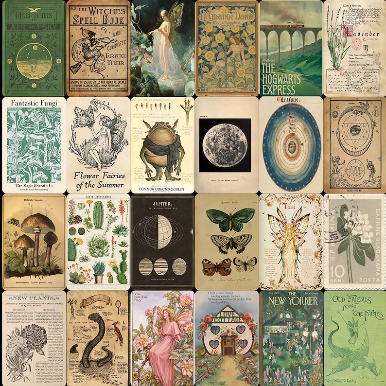 May include: A collage of vintage illustrations and images featuring fairies, mushrooms, flowers, a frog, a moon, a butterfly, a train, and a book titled "The Witches Spell Book".