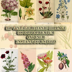 348 PCS Vintage Botanical wall kit grunge fairy wall collage kit vintage posters wall collage kit room decor aesthetic plant vintage wall