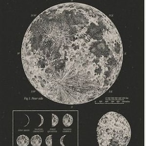 May include: A black and white illustration of the moon with the text "THE MOON" and "LA LUNE DER MOND LA LUNA" above the image. The image shows the near side of the moon with the phases of the moon below.