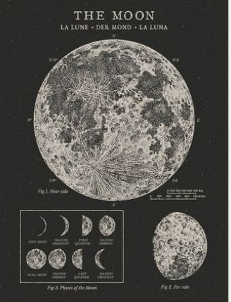 May include: A black and white illustration of the moon with the text "THE MOON" and "LA LUNE DER MOND LA LUNA" above the image. The image shows the near side of the moon with the phases of the moon below.
