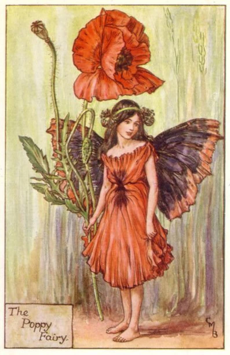 May include: A fairy with dark wings and a red dress stands in front of a large red poppy flower. The text "The Poppy Fairy" is written at the bottom of the image.