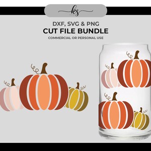 PUMPKIN PATCH Svg - Cut File for Cricut or Silhouette - Fall Svg - Thanksgiving Svg - Pumpkin Graphic - Svg for Cricut - Cute Pumpking Svg