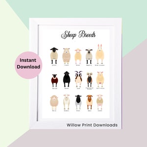 Sheep Breeds Print, INSTANT DOWNLOAD, Sheep Types Print, Sheep Art, Sheep Poster, Gift for Vet, Gift for Farmers, DIGITAL Download.