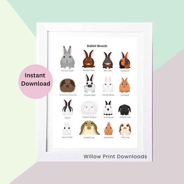 Rabbit Breeds Print, INSTANT DOWNLOAD, Rabbit Types Print, Rabbit Art, Rabbit Poster, Gift for Vet, Gift for Farmers, DIGITAL Download.