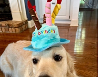 May include: A golden retriever wearing a light blue birthday hat with the word "birthday" on it. The hat is decorated with colorful candles. The dog is lying on a wooden floor.