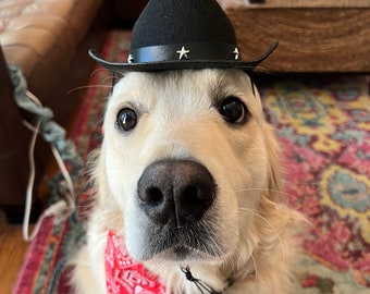 Dog Cowboy Hat - Etsy