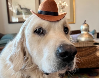 De kleine Bubbacini-cowboyhoed