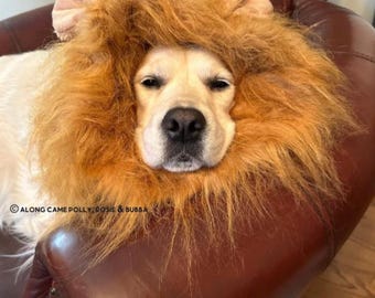 The Bubbacini Lion Mane in Orangish Red