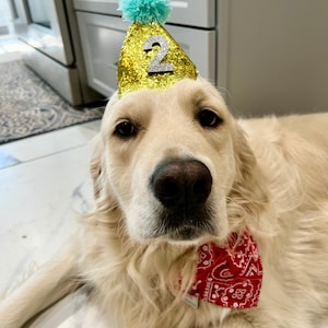 The Bubbacini Birthday Hat