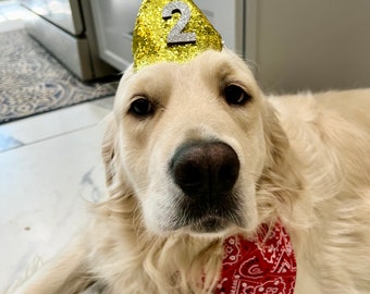 Puede incluir: Un perro golden retriever con un gorro de fiesta de purpurina amarilla y plateada con un pompón azul en la parte superior. El gorro tiene el número "2". El perro también lleva un pañuelo rojo con un patrón blanco.