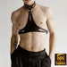 see more listings in the Premium Men's Harness section