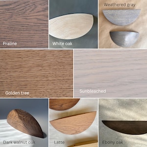 May include: A collection of wood samples showcasing various finishes. The samples include "Praline," "White oak," "Weathered gray," "Golden tree," "Sunbleached," "Dark walnut oak," "Latte," and "Ebony oak." Each sample displays the wood grain and color variations.