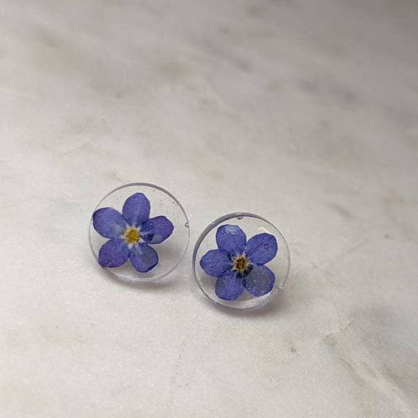 Real Whole Flowers Light Blue Forget Me Not Stud Earrings