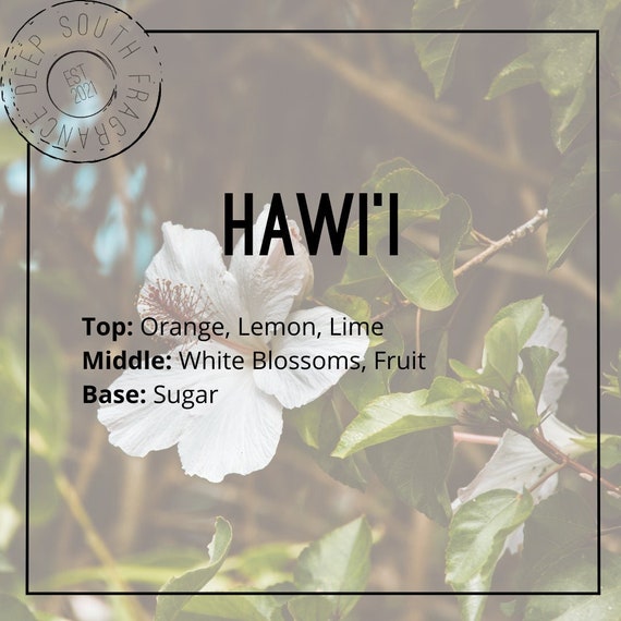 Hawai'i Fragrance Oil Deep South Fragrance Summer Scents Candle