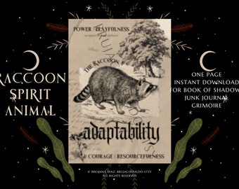 ONE Raccoon Spirit Animal Page for Grimoire, Book of Shadows | Spirit animal junk journal ephemera digital instant download raccoon lover