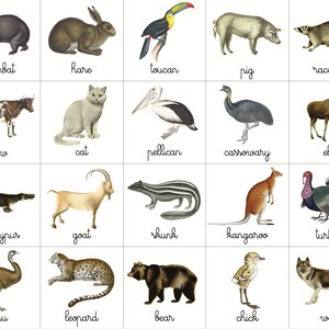 Printable Bingo Animals of the World - Etsy Printable Bingo Animals of the World - Etsy