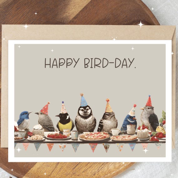 Funny Bird Birthday Card A2 Size Blank Inside With Kraft Envelope, Cute Illustrated Birds With Party Hats Pun Card Happy Bird-Day