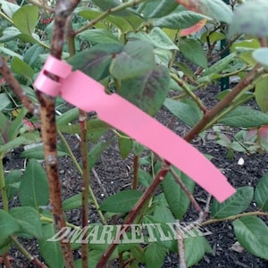 May include: A pink plastic plant tag with a metal clip attached to a branch of a plant. The tag is blank and ready to be labeled.