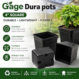 May include: Black square Gage Dura pots, 4 inches wide, are durable, lightweight, and flexible. The pots are designed for nurseries, greenhouses, and seedlings. The image shows several pots, including one with a plant.