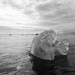 Black and White Iceberg from Blue Lagoon in Iceland