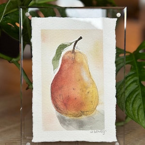 Original Aquarell Früchte-Serie