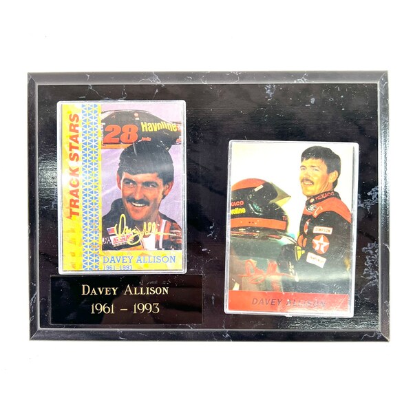 Vintage 1993 Davey Allison Nascar Tribute Wall Art Plaque Racing Driver Memorial