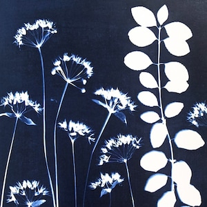 野生のニンニクの花と日本のスピンドルのオリジナルの青写真から作成した、額装可能な 9x7 インチの大型グリーティング カード。内側は空白です。