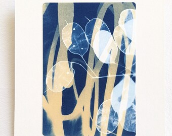 Cyanotype original art of lunaria, also known as honesty, handmade and semi bleached on watercolour paper.