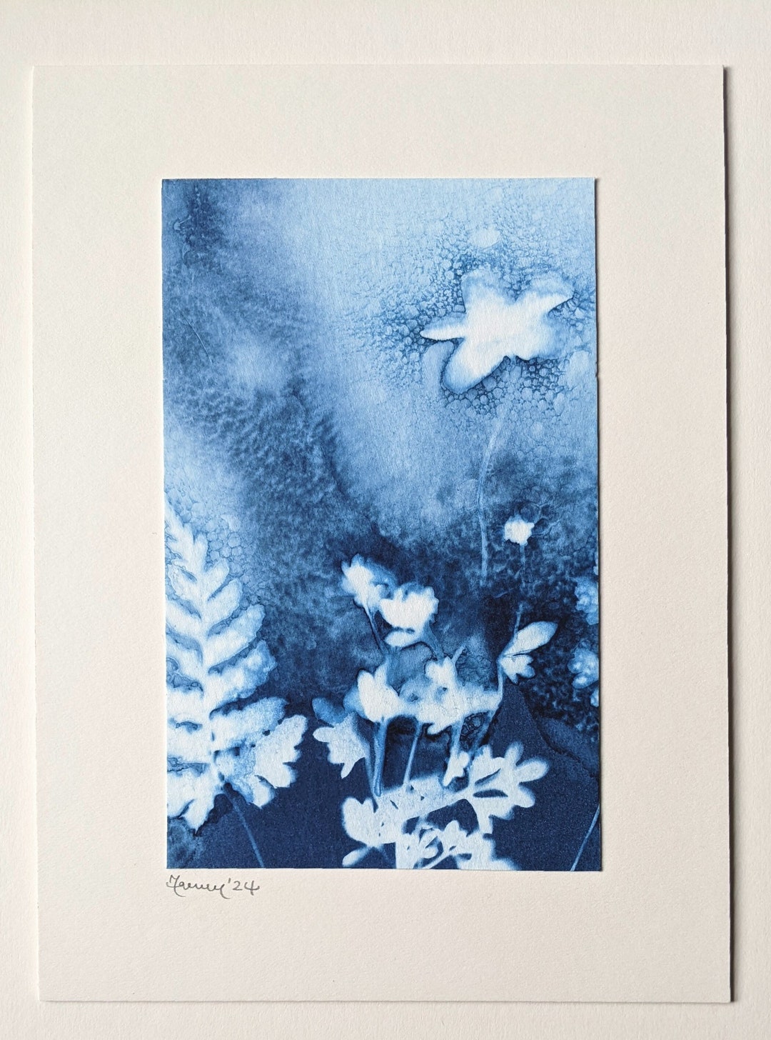 Original Cyanotype of Buttercups and Fern on Watercolour Paper, Mounted ...