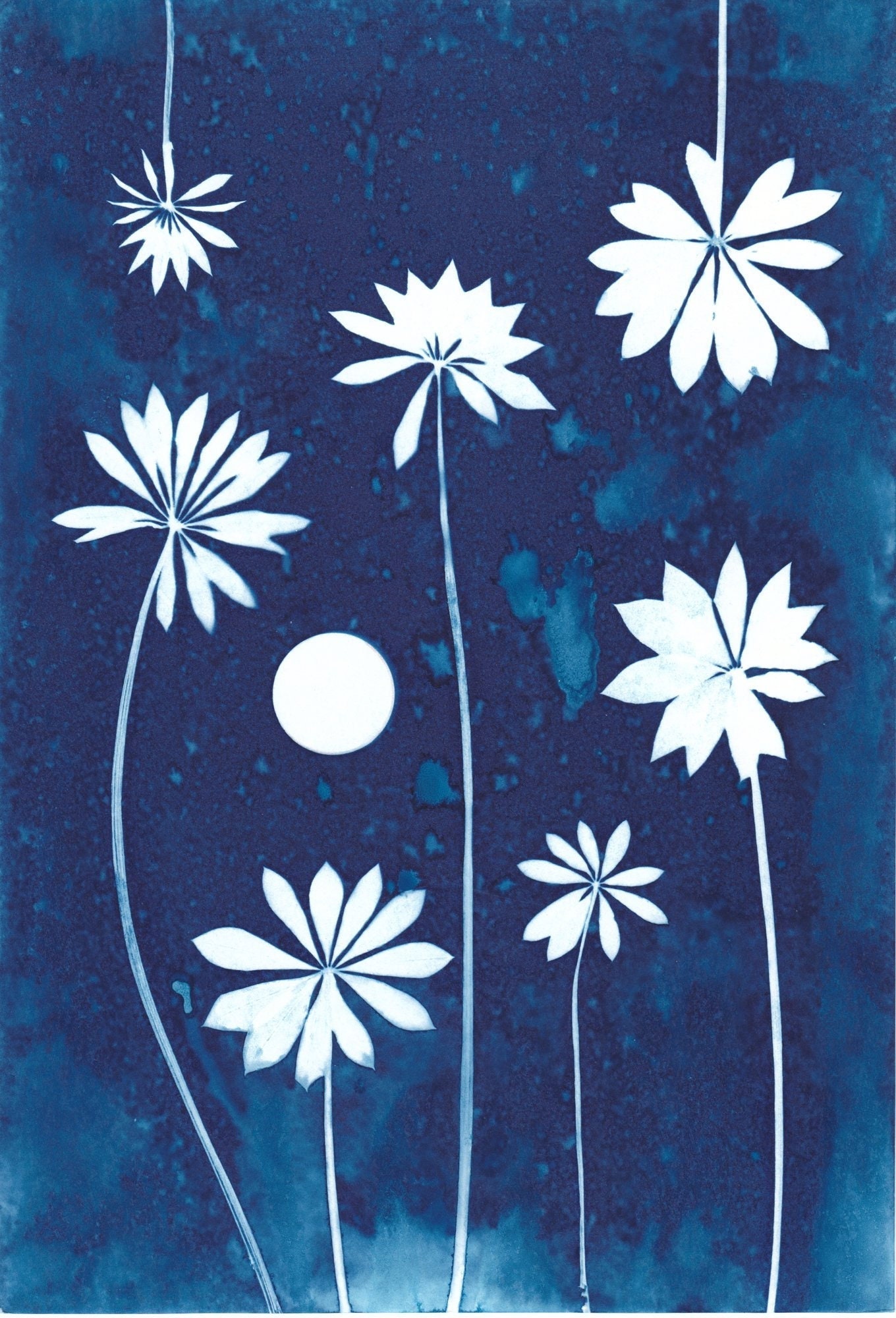 Flower Cameo, Shamrocks  Cyanotype Art, 5x7 Watercolor Paper