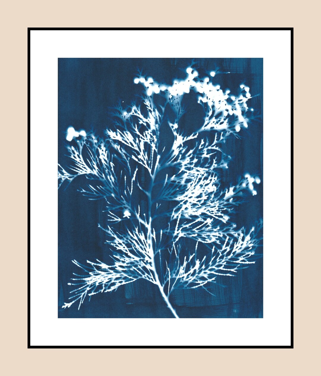 Handmade Cyanotype of a Port Orford Cedar Branch One of a Etsy