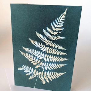 Tarjeta de felicitación de helecho para cualquier ocasión. Reproducida a partir de mi obra original en cianotipia. Enmarcable, recuerdo, interior en blanco con sobres.