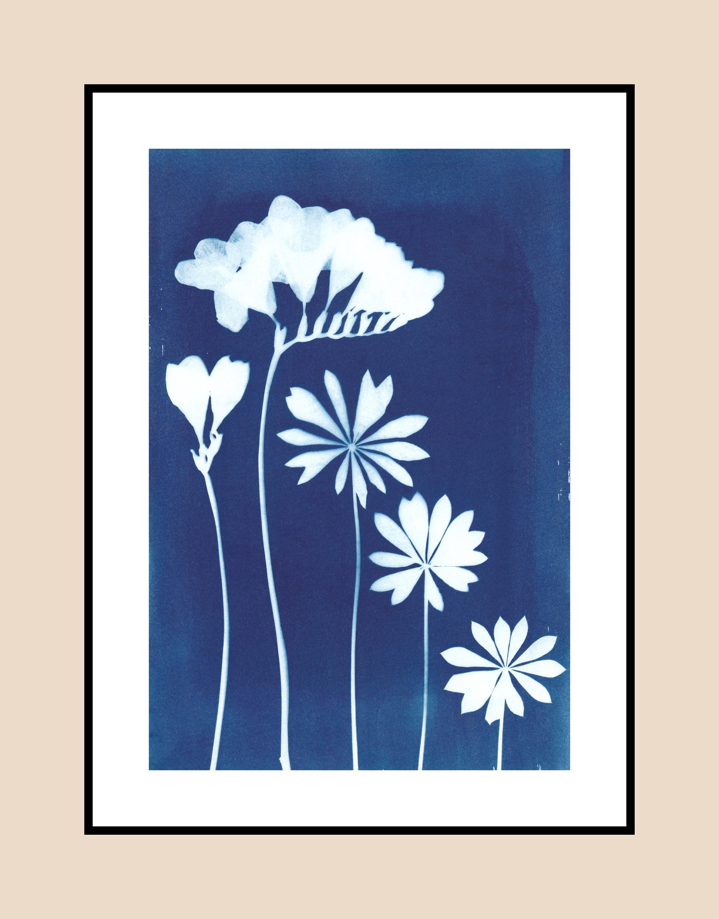 Cyanotype Kit, Solar Printing With Plants, Ferns, Flowers