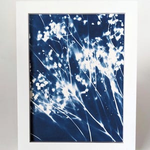 Cyanotype Art Print: Baby&#39;s Breath on Watercolor Paper, Handmade 8x6