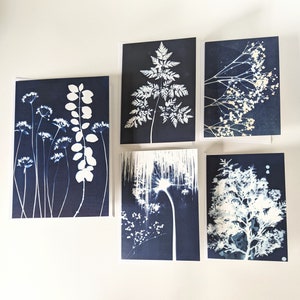 私のオリジナルの植物シアンタイプ アートから作成した空白のグリーティング カード。封筒付きの光沢のあるカード 5 枚。