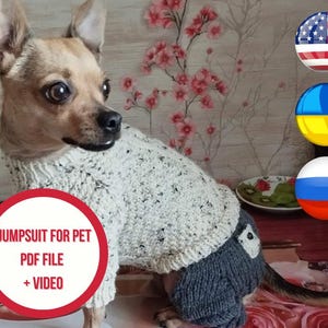 Strickanleitung für einen Hundeoverall (PDF) | Yorkshire-Terrier-Kleidung | Jumpsuit für kleine Hunde | Chihuahua-Outfit | DIY-Haustierkleidung (Größen S-XL)