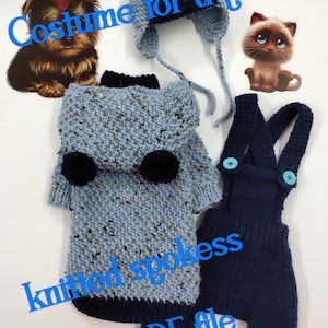 Knitting pattern - cat dog costume, raglan costume, pet clothes, DIY project, Knitting tutorial. Small dogs. Pants for dogs. Size S, M, L, XL