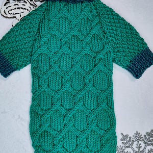 May include: A teal green knitted pet sweater with a cable knit design. The sweater has a ribbed collar with white and teal accents, and teal cuffs. The words "Sweater for pet" and "PDF file" are visible in the image.