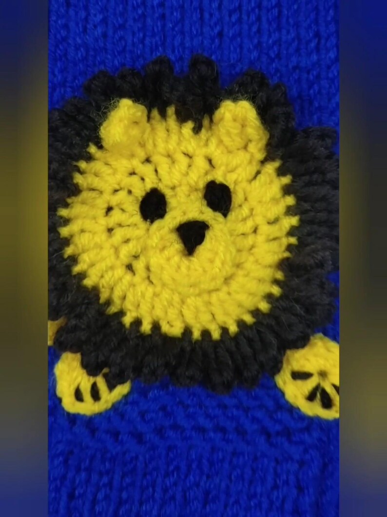 Knitting Pattern Cat Sweater Raglan,diy Project,dog Sweater Pattern