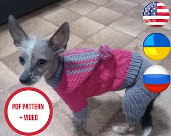 Patrón de tejido para perro en PDF: Conjunto de suéter y pantalón de punto trenzado para perro. Patrón de ropa para mascota (tallas S, M, L, XL). Tutorial paso a paso (3 idiomas).