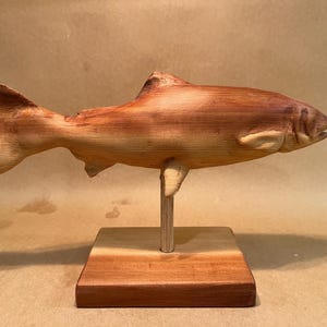 Rainbow Trout