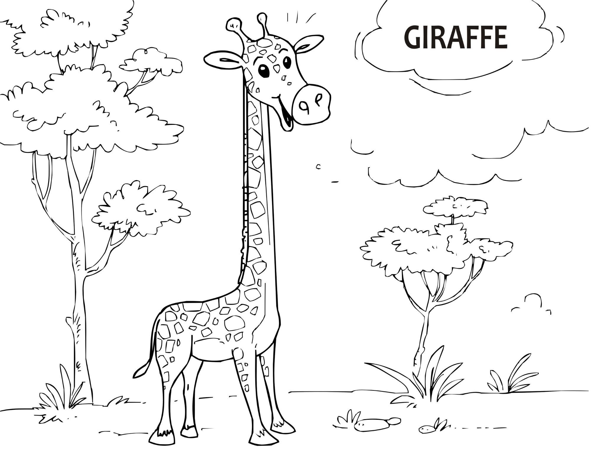 Zoo Coloring Book PDF Digital Download | Coloring Pages for Kids ...