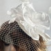 see more listings in the FASCINATEUR & CHAPEAU FANTAISIE section