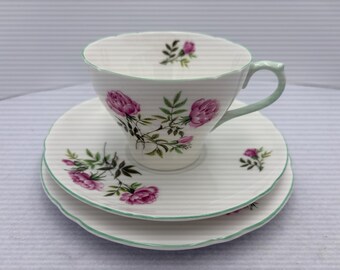Shelley Eglantine Bone China Trio