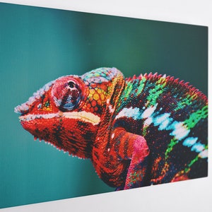 Sweet Chameleon, Canvas Wall Art Print | Poster Print Decor for Home & Office Decoration I Poster or READY TO HANG