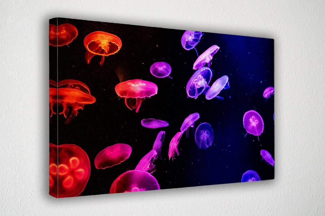 Colorful Jellyfish, Canvas Wall Art Print Poster Print Decor for Home