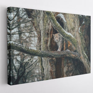 Mouser, Canvas Wall Art Print | Poster Print Decor for Home & Office Decoration I Poster or READY TO HANG