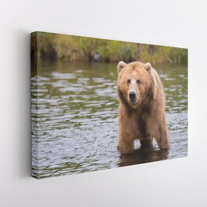 Bear in Water, Canvas Wall Art Print | Poster Print Decor for Home & Office Decoration I Poster or READY TO HANG
