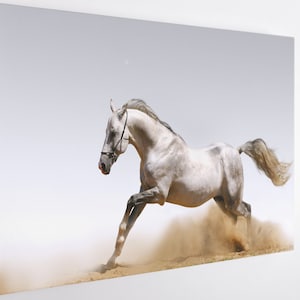 White Horse, Canvas Wall Art Print | Poster Print Decor for Home & Office Decoration I Poster or READY TO HANG