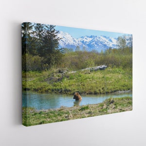 Bear in Water, Canvas Wall Art Print | Poster Print Decor for Home & Office Decoration I Poster or READY TO HANG